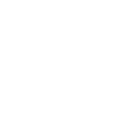 Dirty harrys