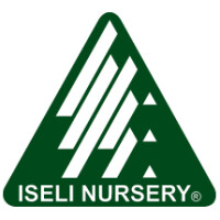 Iseli nursery inc