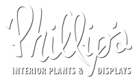 Phillip's interior plants & displays