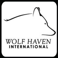 Wolf haven international