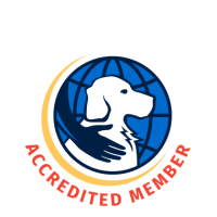 Assistance dogs of america