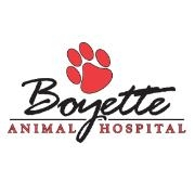 Boyette animal hospital