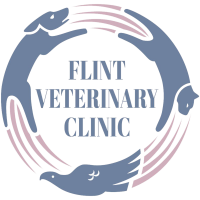 Flint veterinary clinic