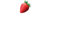 Florida strawberry festival