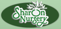 Sharon nursery