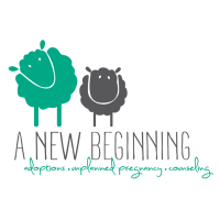 A new beginning adoption agency
