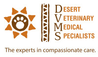 Desert veterinary specialists