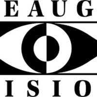 Geauga vision
