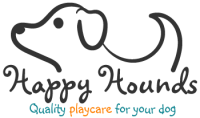 Happy Hound Play & Daycare