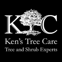 Ken's tree care inc
