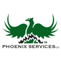 Phoenix it services
