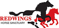 Redwings horse sanctuary
