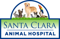 Santa clara animal hospital