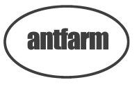 Antfarm youth services