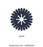 Aster elements inc.