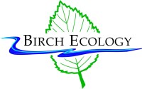 Birch ecology