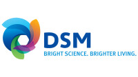 Dsm design