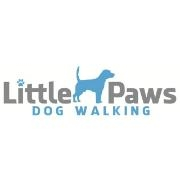 Little paws dog walking