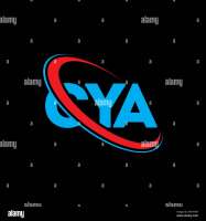 Cya companies