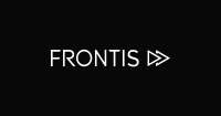 Frontis consulting