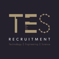 Tes - tech executive search