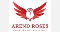 Arend roses