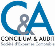 Concilium audit