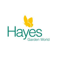 Hayes Garden World Ltd