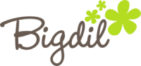 Bigdil limited [ logistics . digital imaging .  homes ]