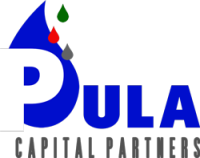 Pula capital partners