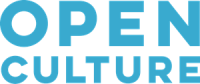 Open culture consulting