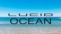 Lucid ocean pty (ltd) - custom software company