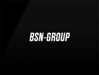 Bsn group corp