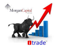 Morgan capital group