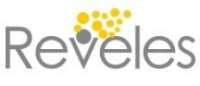 Reveles engineering services