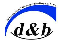 D & b international l.l.c.