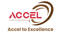 Accel federal energy services llc