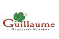 Guillaume grapevine nursery