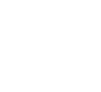 Vincenzopaccone.com