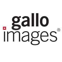 Gallo images