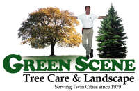Green scene landscape & tree care