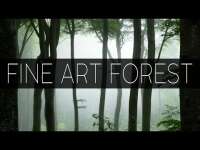 Forest avenue fine art