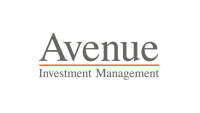 Avenue securities limited
