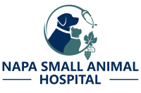 Napa small animal hospital
