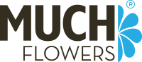 Muchflowers