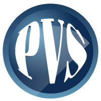 Pvs consulting