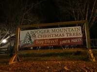 Booger Mountain Christmas Trees