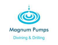 Magnum pumps