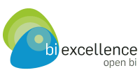 Bi excellence software gmbh