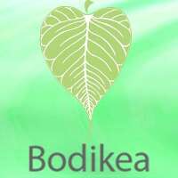 Bodikea
